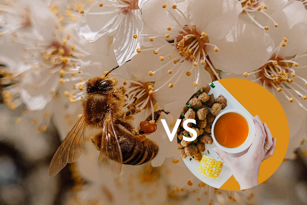 Bee-Free Honey: Benefits and Environmental Impact